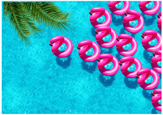 Sommerferien_2025_26.gif